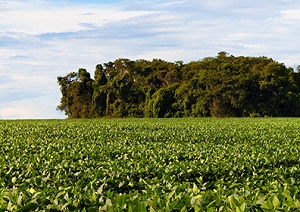 La blockchain dans le négoce de matières premières