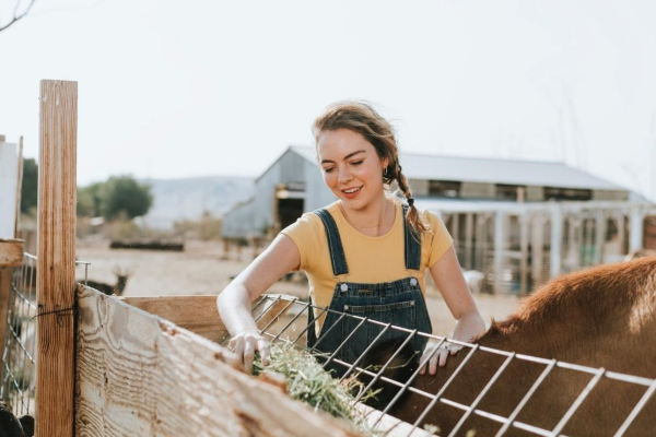 L’e-shop MiiMOSA tient à développer une agriculture plus responsable. Les différents producteurs tels que Vinea Adrian, Potajo, Les Callis, Balsamique Ardéchois ou encore la Ferme d’Enjacquet livreront leurs spécialités via la plateforme.