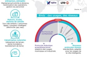 Birdz-usage-reseau