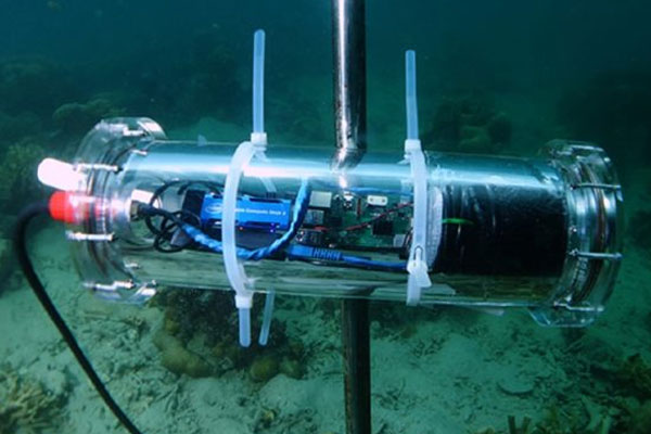 CORaiL, le projet d’IA au chevet des récifs coralliens