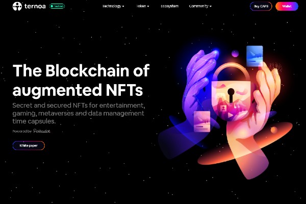 Ternoa lève 4 millions d’euros pour créer une infrastructure blockchain dédiée aux NFT augmentés