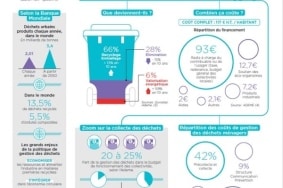 Infographie Birdz2